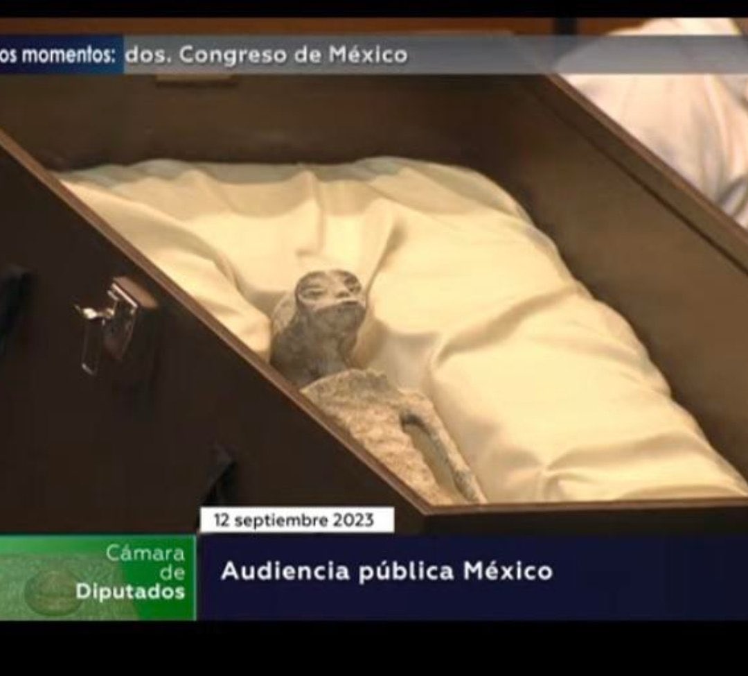 333ditchwitch's tweet image. Okay I honestly want to make him into like a mushroom tea