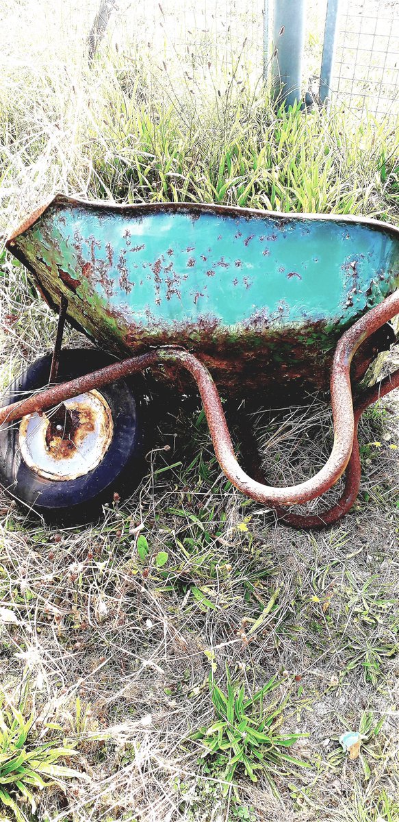 LZellas's tweet photo. Waste ground behind the school, Pwllheli.
#wheelbarrowwednesday https://t.co/8bPDudZxI1