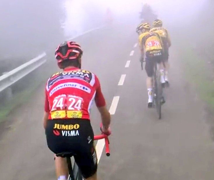 Domestique tweet media