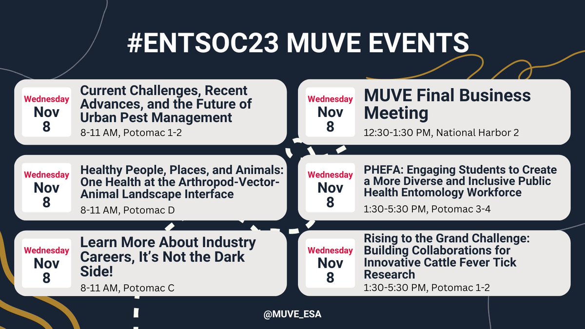 MUVE ESA tweet media