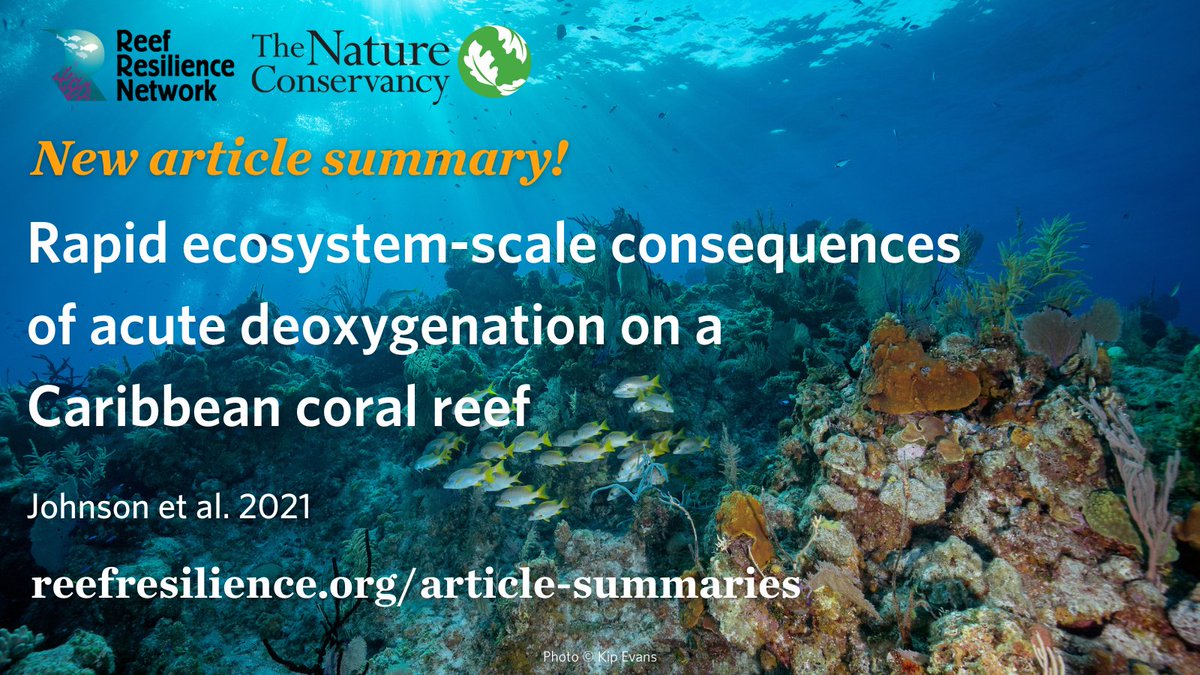 In our new article summary, read about ideas for addressing #deoxygentation in #coralreef areas through research and management plans.  

📙reefresilience.org/article-summar…