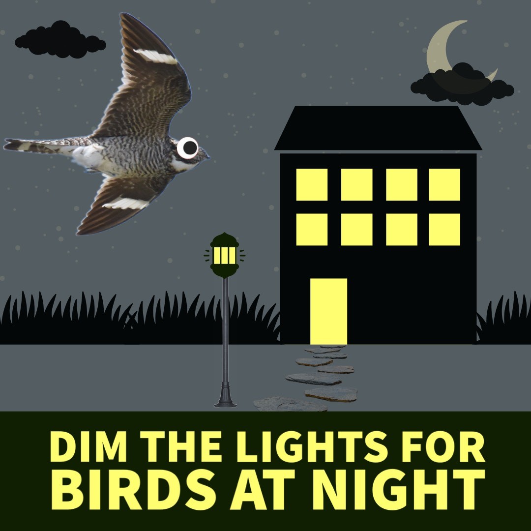 U.S. Fish and Wildlife Service tweet media