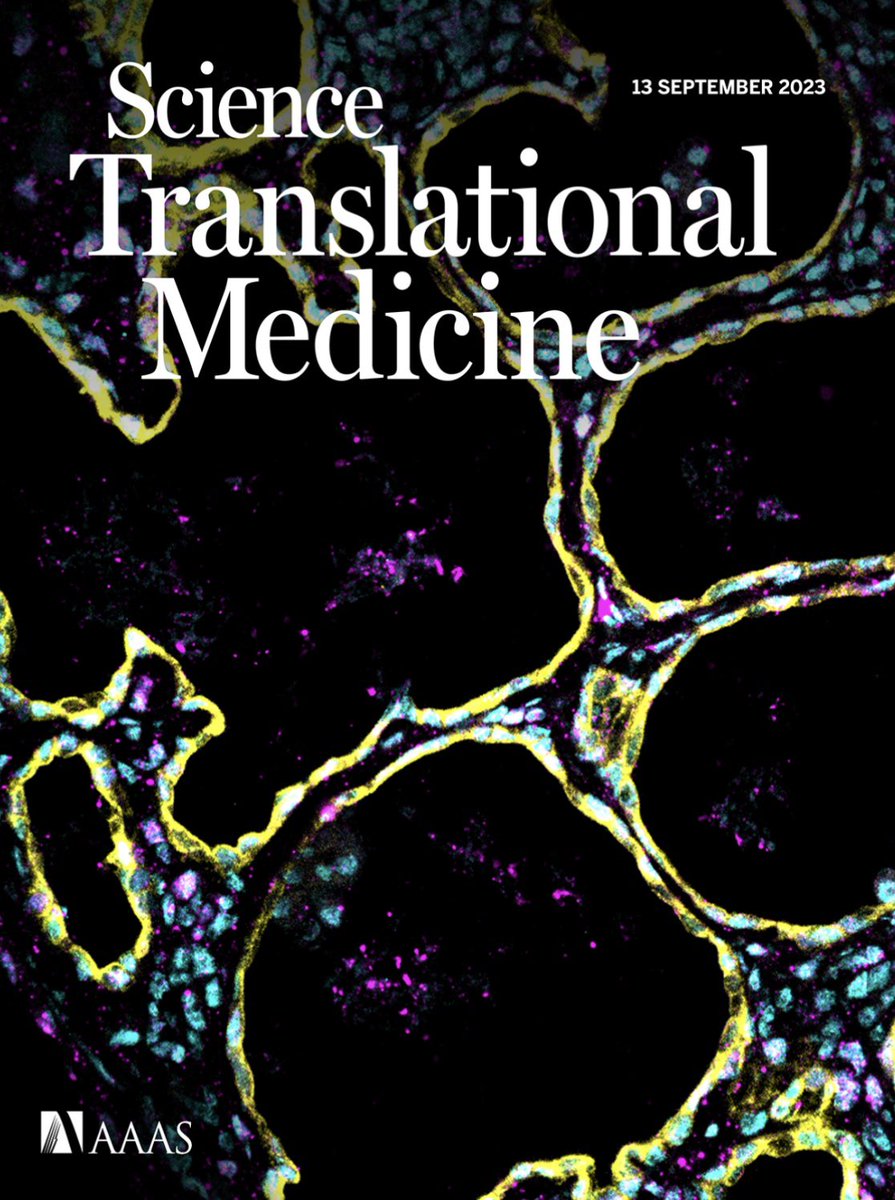 Full 🧵 from me, <a href="/scott_wad_dell/">Scott Waddell</a> and @Mill_lab coming tomorrow. But for now, you can speculate wildly over what we show in todays <a href="/ScienceTM/">Science Translational Medicine</a>…