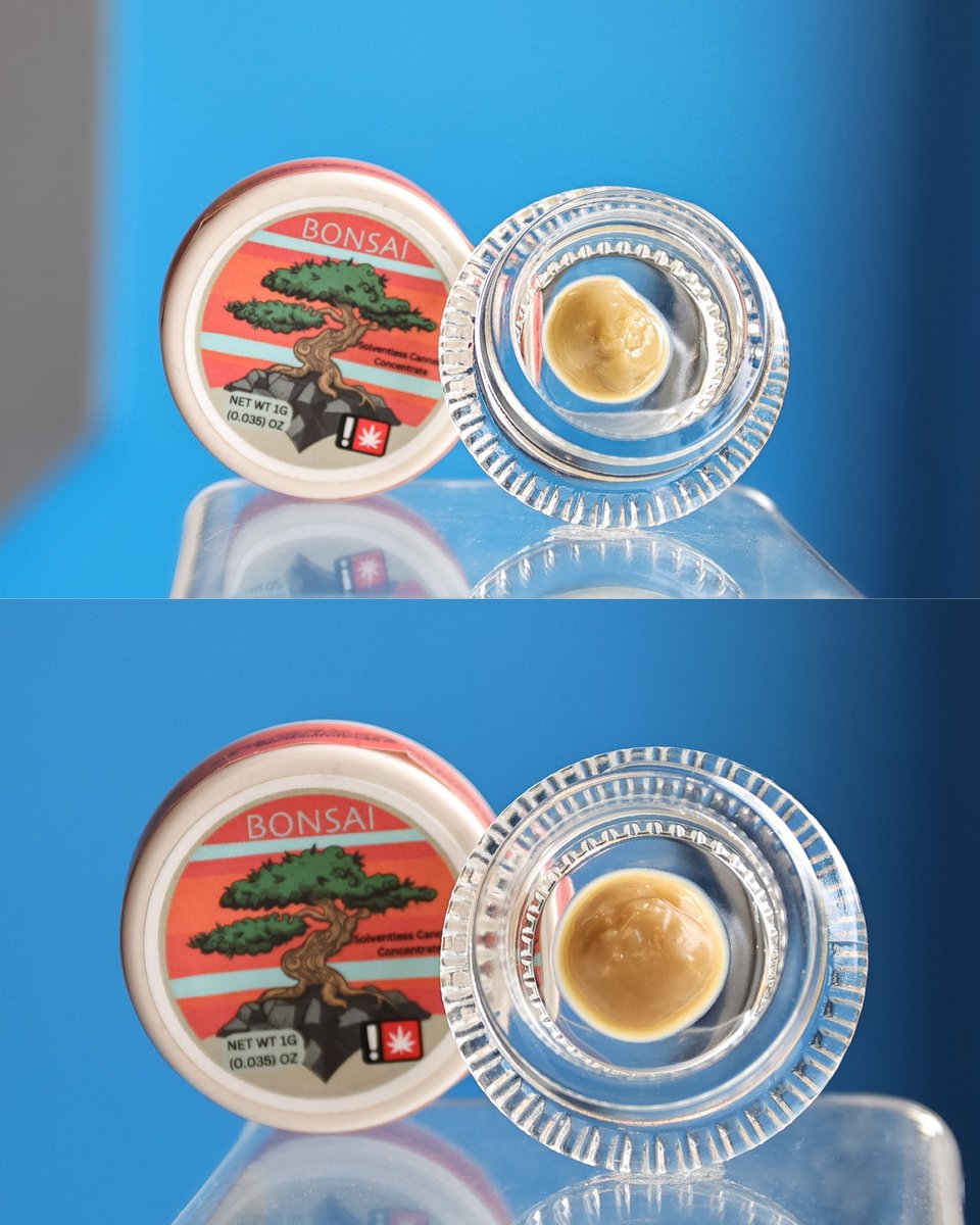 CookiesonHighst's tweet photo. @BonsaiOregon Solventless Live Rosin 

‼️⚠️Required Warning: Do not operate a vehicle or machinery while under the influence of marijuana. Keep marijuana out of reach of children.⚠️‼️

#cookies #cookieseugene #cookiesoregon #eugeneoregon #oregon #pnw #cookiessf #cookiesglobal https://t.co/czp0vKr8sM