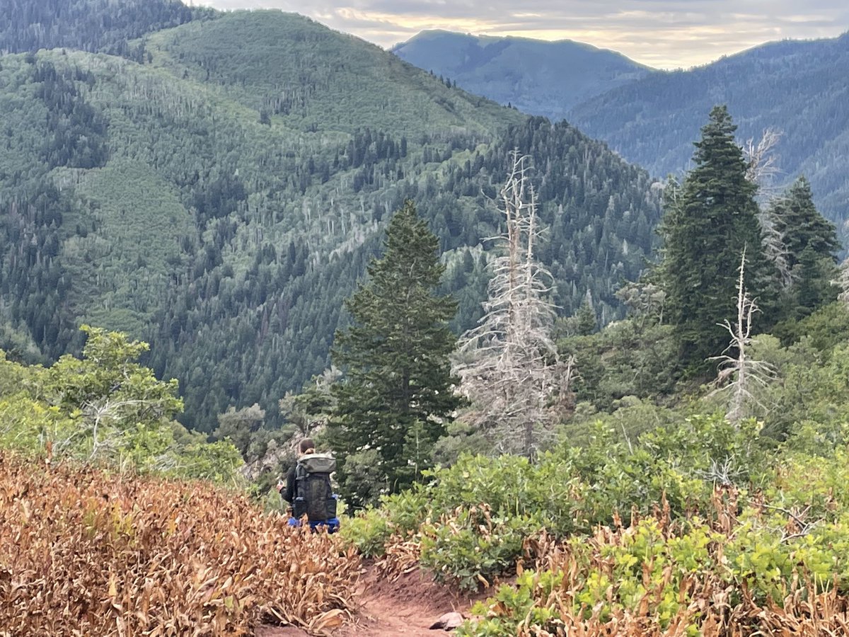 source_pulse's tweet photo. A little backpack training https://t.co/Eph1gt3Rkn