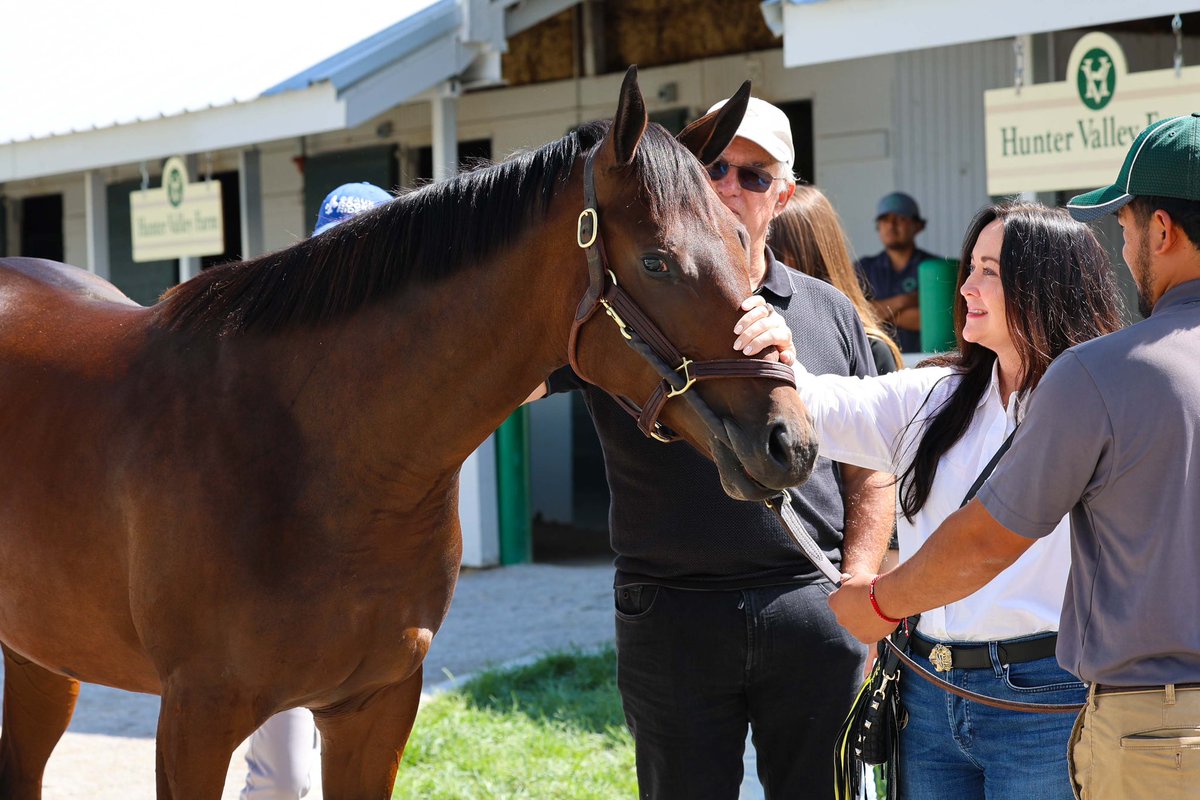 Welcome to the Pin Oak family! 💙
Hip 528 at #KEESEPT, an Uncle Mo colt out of Flighty Almighty (GB).