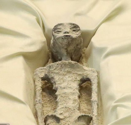 me patiently waiting for kodak to rerelease kodachrome