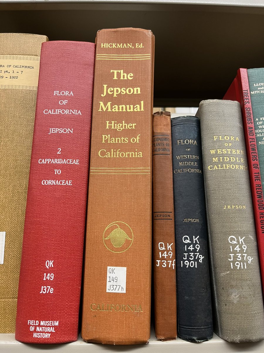 Andrea Bräutigam tweet media