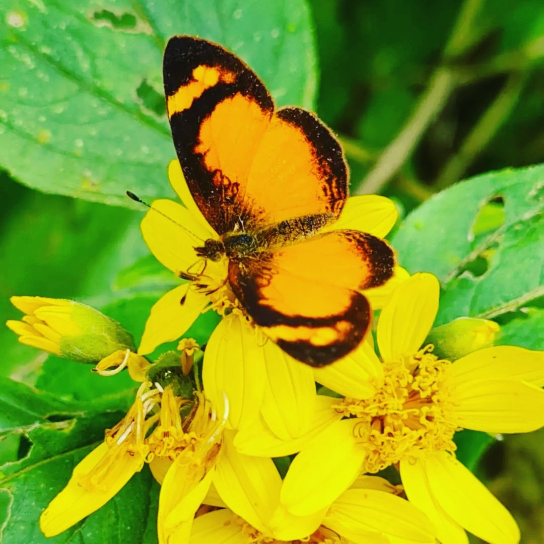 <a href="/Alberto89366221/">Alberto</a>