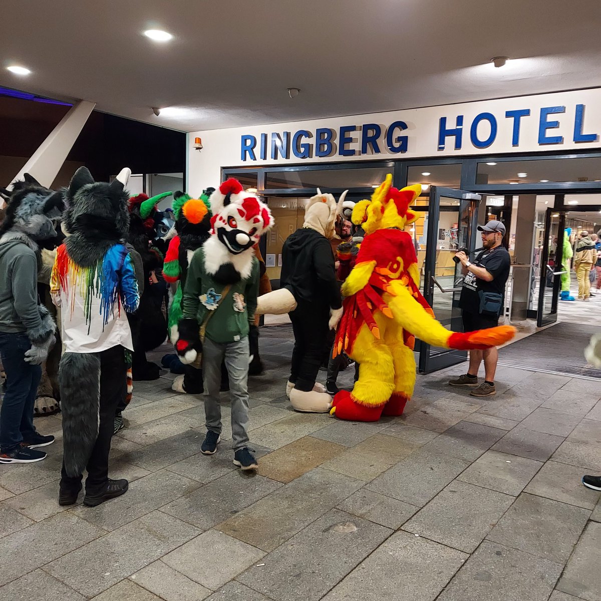 QuickshotCoyote's tweet photo. Oh no! Something went wrong! I booked a 4-star hotel #RingbergHotel but then Furries invaded the place! Now it's a 5-star hotel- for now ='D 

#EAST11 #Furry #Convention #Ringberg #Suhl https://t.co/yK1YY5jm7V