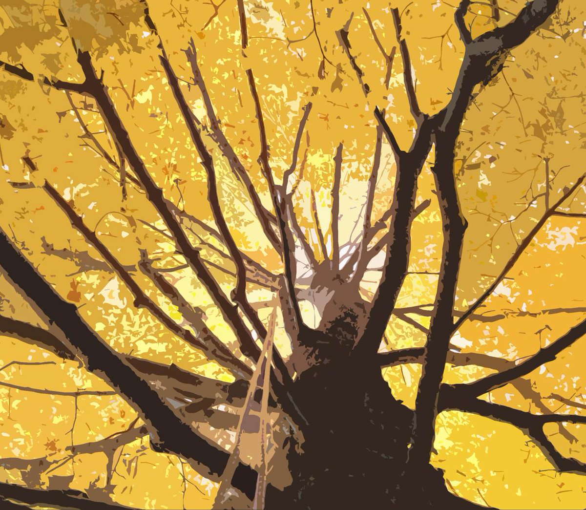 📢Reminder: Bullard Fellowship applications are due October 1. 🌳🤓🪲 Applicants should show leadership in their field and propose a project that can make important contributions to forest studies, broadly defined.

harvardforest.fas.harvard.edu/bullardfellows…