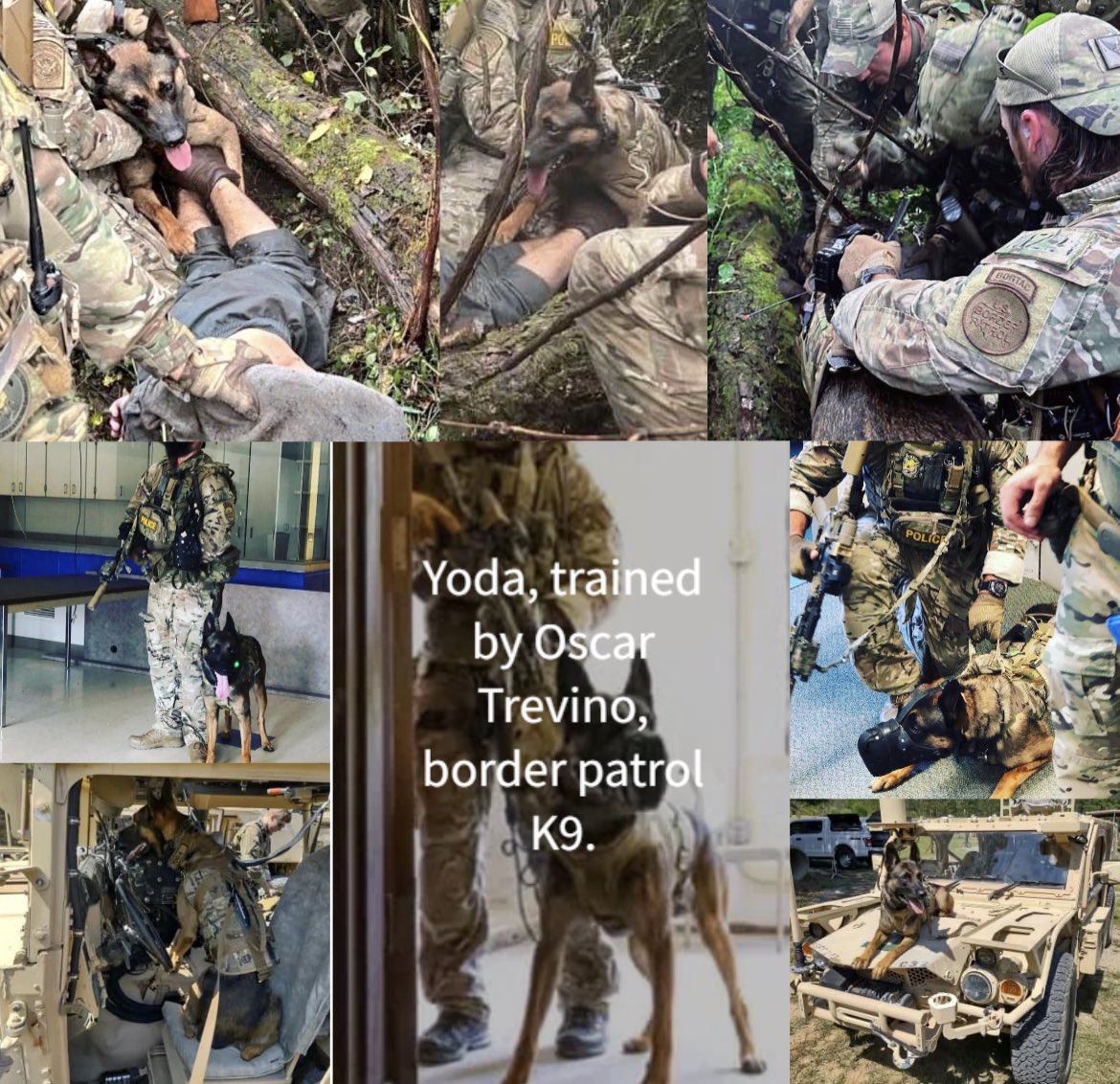 wabbitwabbit_'s tweet photo. Thank you K9 Yoda!

#danelocavalcante #bortac #chestercounty #borderpatrol #k9 #k9yoda 

(Pictures not from today’s capture are from https://t.co/JXQDDfEA5c) https://t.co/upEjuTi9ar