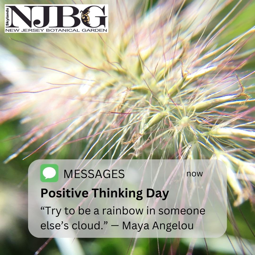 NJBGSkylands's tweet photo. #postivethinkingday #positivethinking #njbg #nj #NewJersey https://t.co/uqqydlUu7U