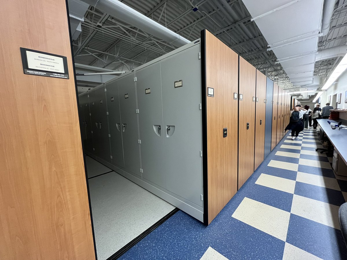 Andrea Bräutigam tweet media