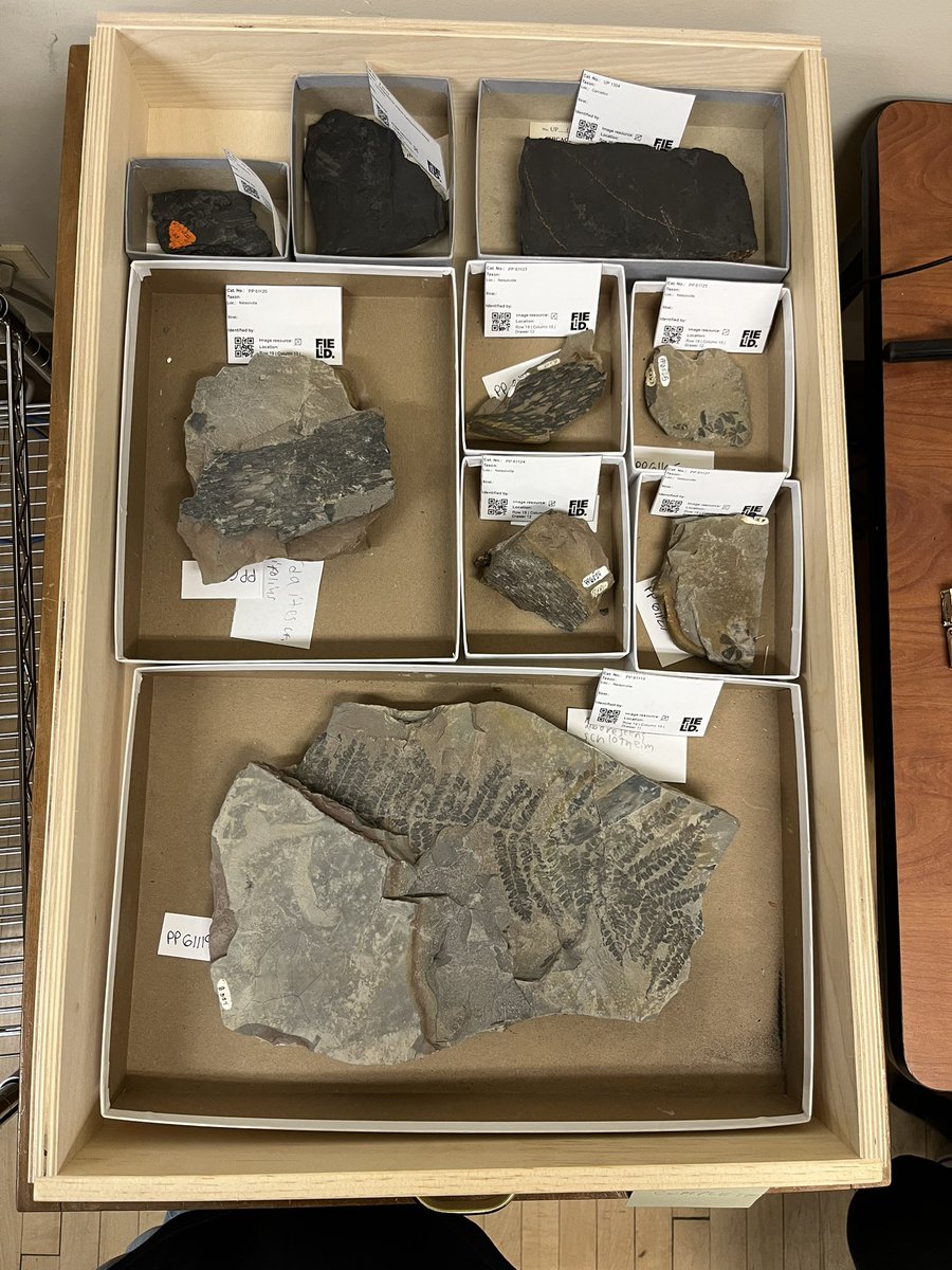 Andrea Bräutigam tweet media