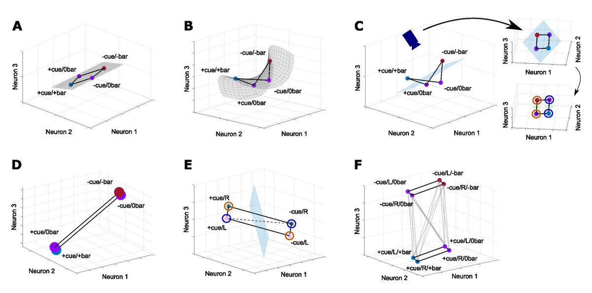 SfN Journals (@sfnjournals) on Twitter photo #JNeurosci: Results from <a href="/jonathanmchien/">Jonathan Chien</a>, Wallis, and <a href="/erinLrich/">Erin Rich</a> <a href="/SinaiBrain/">Friedman Brain Institute</a> suggest that rather than linking goals to actions, the monkey anterior cingulate cortex is more involved in context-setting and relative interpretation of outcomes.
jneurosci.org/lookup/DOI/10.… #JNeurosci: Results from <a href="/jonathanmchien/">Jonathan Chien</a>, Wallis, and <a href="/erinLrich/">Erin Rich</a> <a href="/SinaiBrain/">Friedman Brain Institute</a> suggest that rather than linking goals to actions, the monkey anterior cingulate cortex is more involved in context-setting and relative interpretation of outcomes.
jneurosci.org/lookup/DOI/10.…