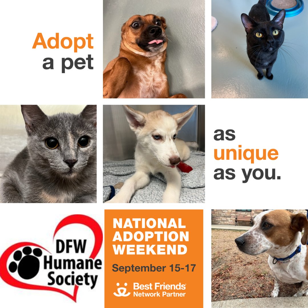 DFW Humane Society tweet media