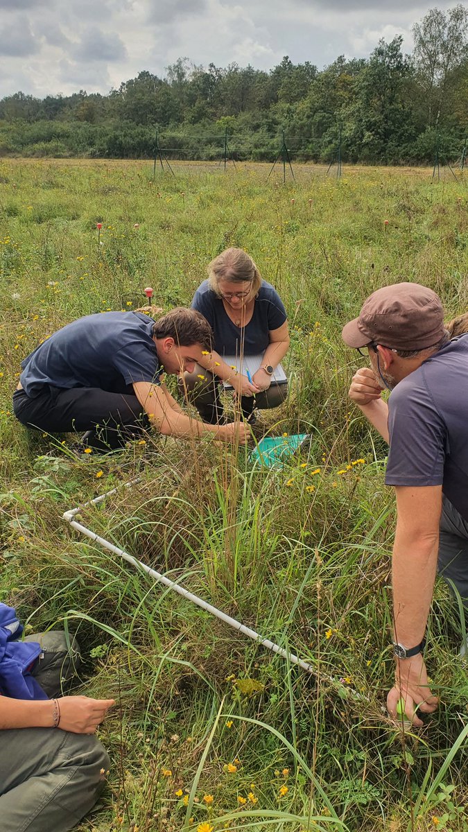 CEREEP-Ecotron IleDeFrance tweet media