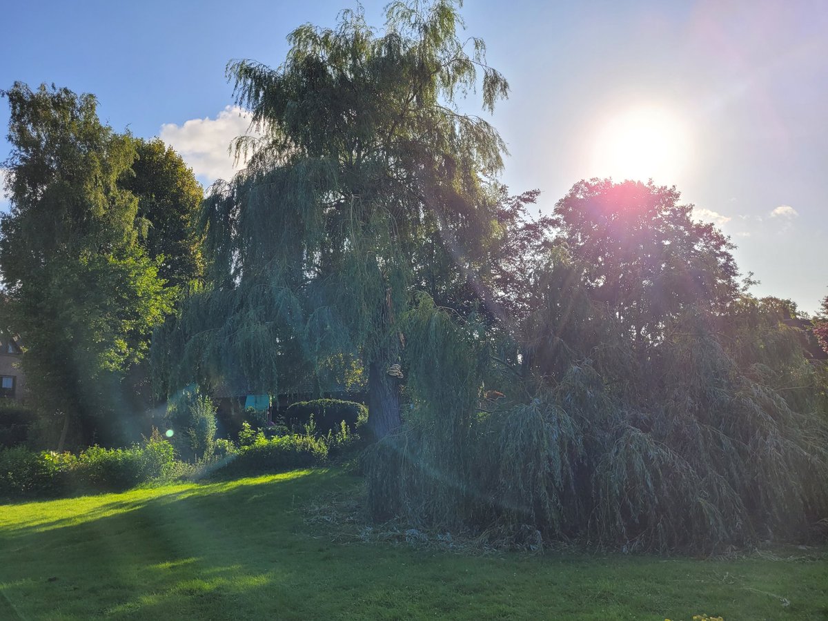 Nein, nein, nein. 😢