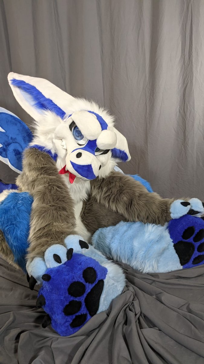 Snowball The Angel Dragon tweet media