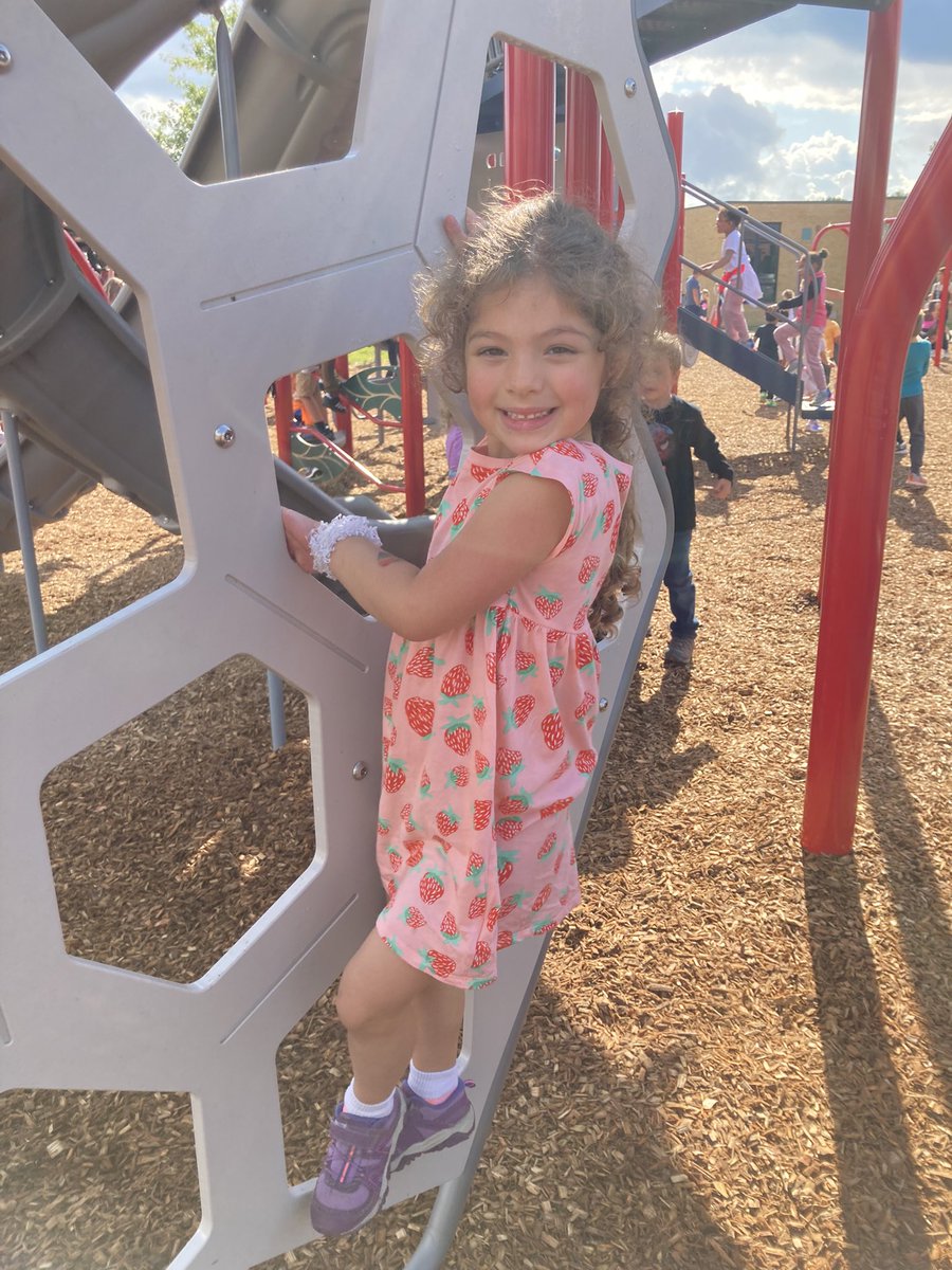 Ginny Habig tweet media