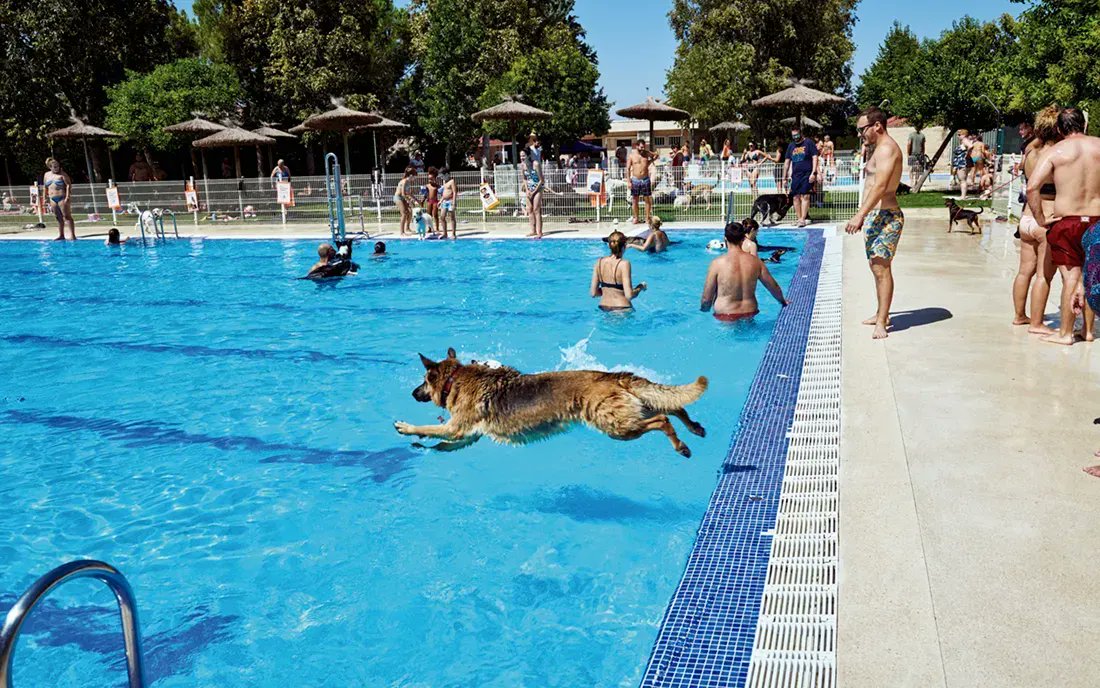 Foto cedida por Ayuntamiento de Rivas