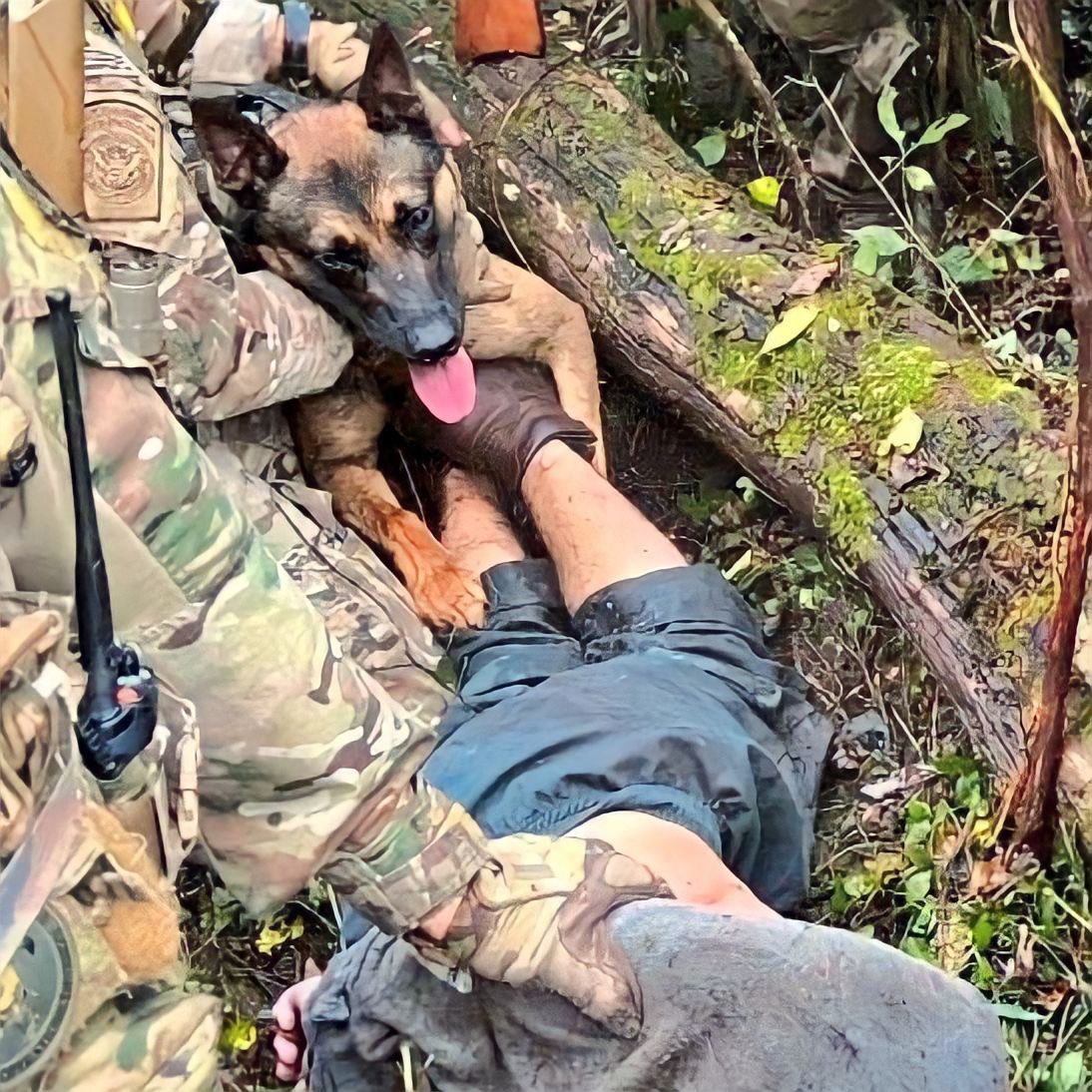 iamlegacy23's tweet photo. #DaneloCavalcante | #DaneloSouzaCavalcante | #ManHunt

The name of our Hero is: K-9 Officer, Yoda. Good boy! Give him 25k of treats and a rib eye steak, a raise and retirement. https://t.co/OtV1PaU9Mh