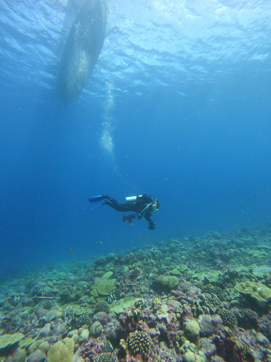 1 week of data collection on #kiritimati following a 4yr hiatus due to Covid. Stoked to see the amount of recovery on the reefs!