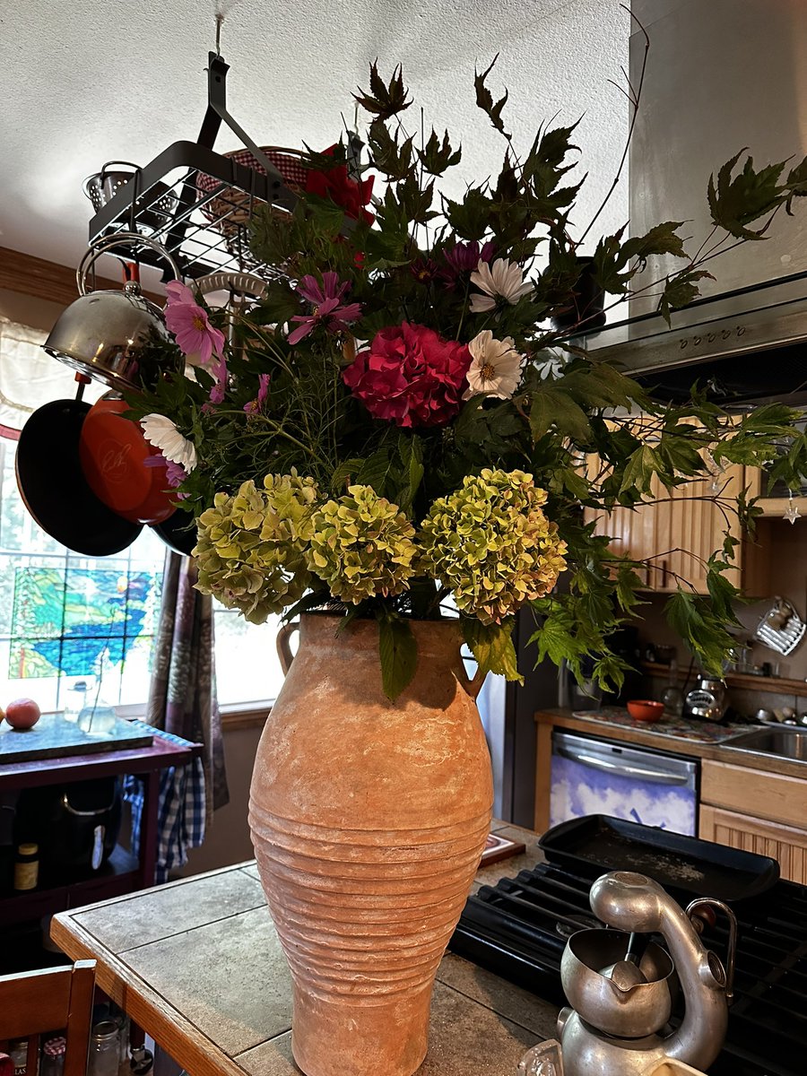 #floralarrangements Flowers from my garden to brighten up the kitchen🦋