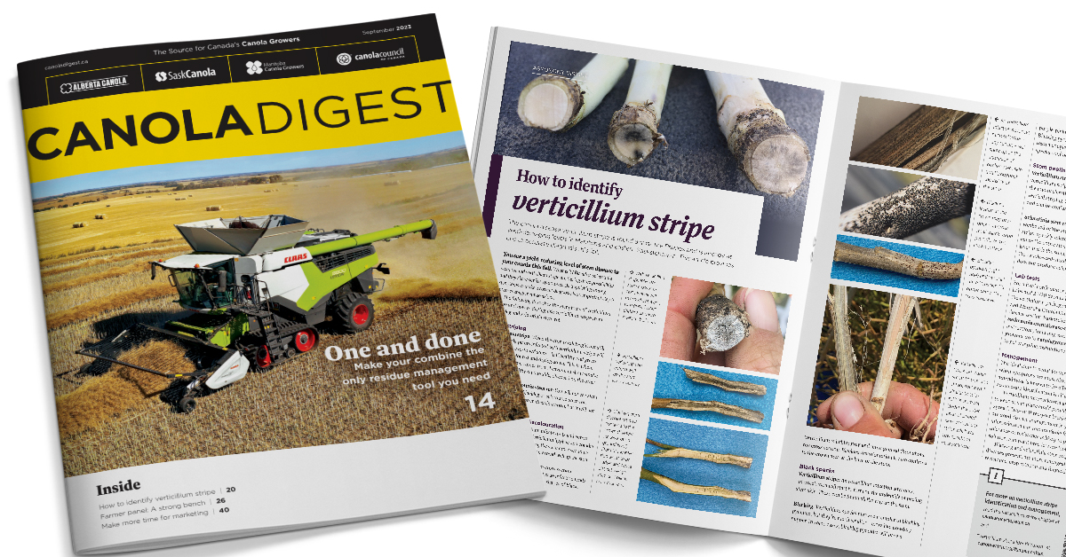 SaskOilseeds tweet media