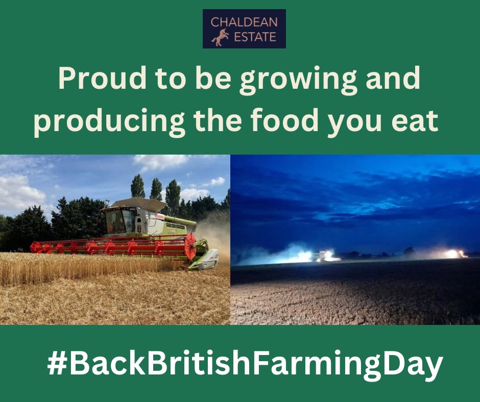 Day and night we are proud to be growing and producing the food you eat 
#BackBritishFarmingDay 

#backbritishfarming #chaldeanestate <a href="/ceresrural/">Ceres Rural</a> <a href="/CLAAS_UK/">CLAASUK</a> <a href="/CLAAS_Eastern/">CLAAS Eastern</a> 
<a href="/19stu88/">Stuart goddard</a> <a href="/Lmillsy_135/">Luke Mills</a> @andygemmill <a href="/NFUHerts/">NFU Hertfordshire</a>