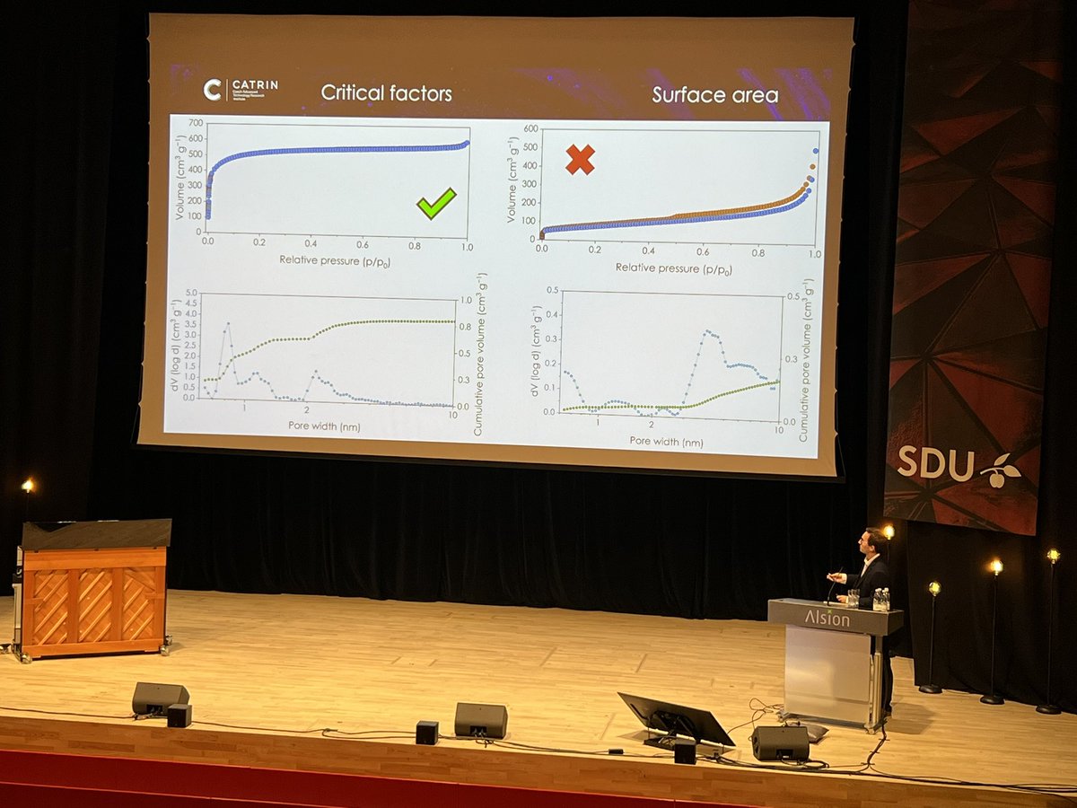 MichalOtyepka's tweet photo. What a wonderful #PCNS2023 meeting at SDU! Proud to present our research. @CatrinUP #EIC #Trans2dchem https://t.co/DLppyER0wW