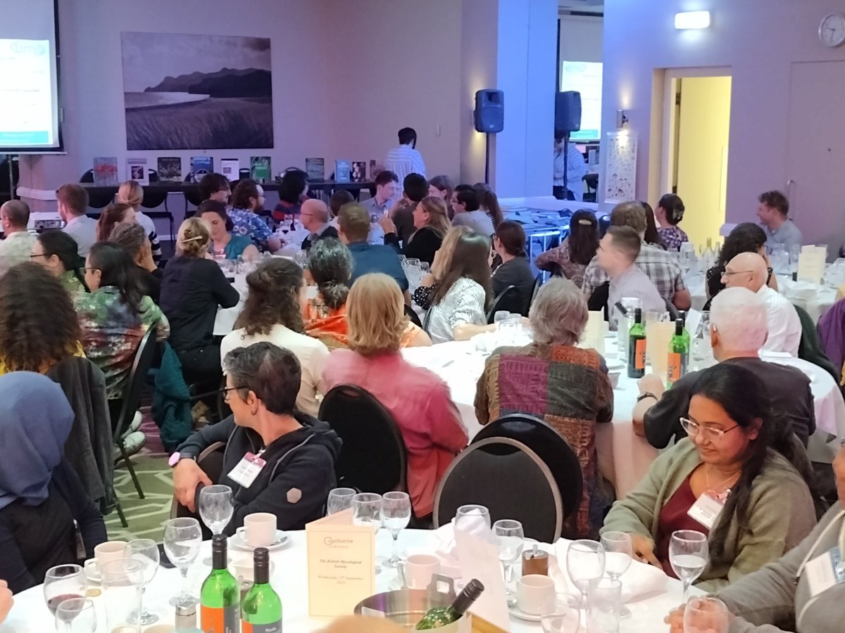 BritMycolSoc's tweet image. It&apos;s the #BMS2023 conference dinner...and the traditional BMS Auction is on! Some marvellous mushroom memorabilia, gifts and treats are up for grabs to the highest bidders 🍄