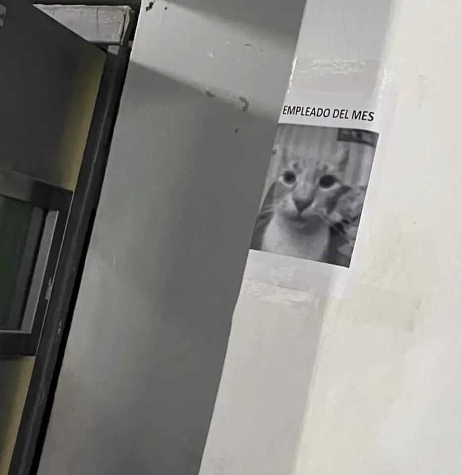 otra vez ese gilipollas