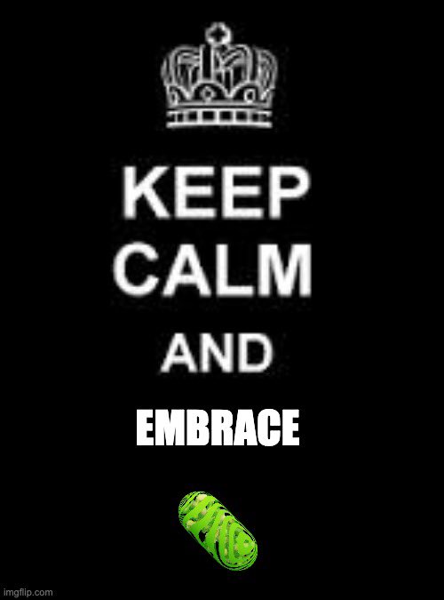 $GP69🧪☯️ (@greenpill69) on Twitter photo 