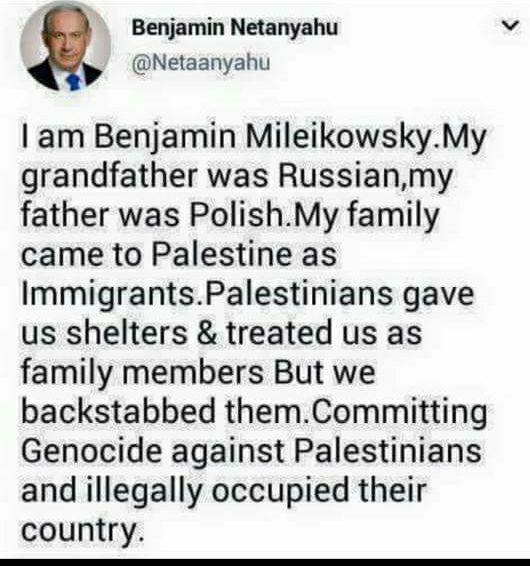 PalestineCultu1's tweet photo. Say something about him. https://t.co/eQfmZx8epG