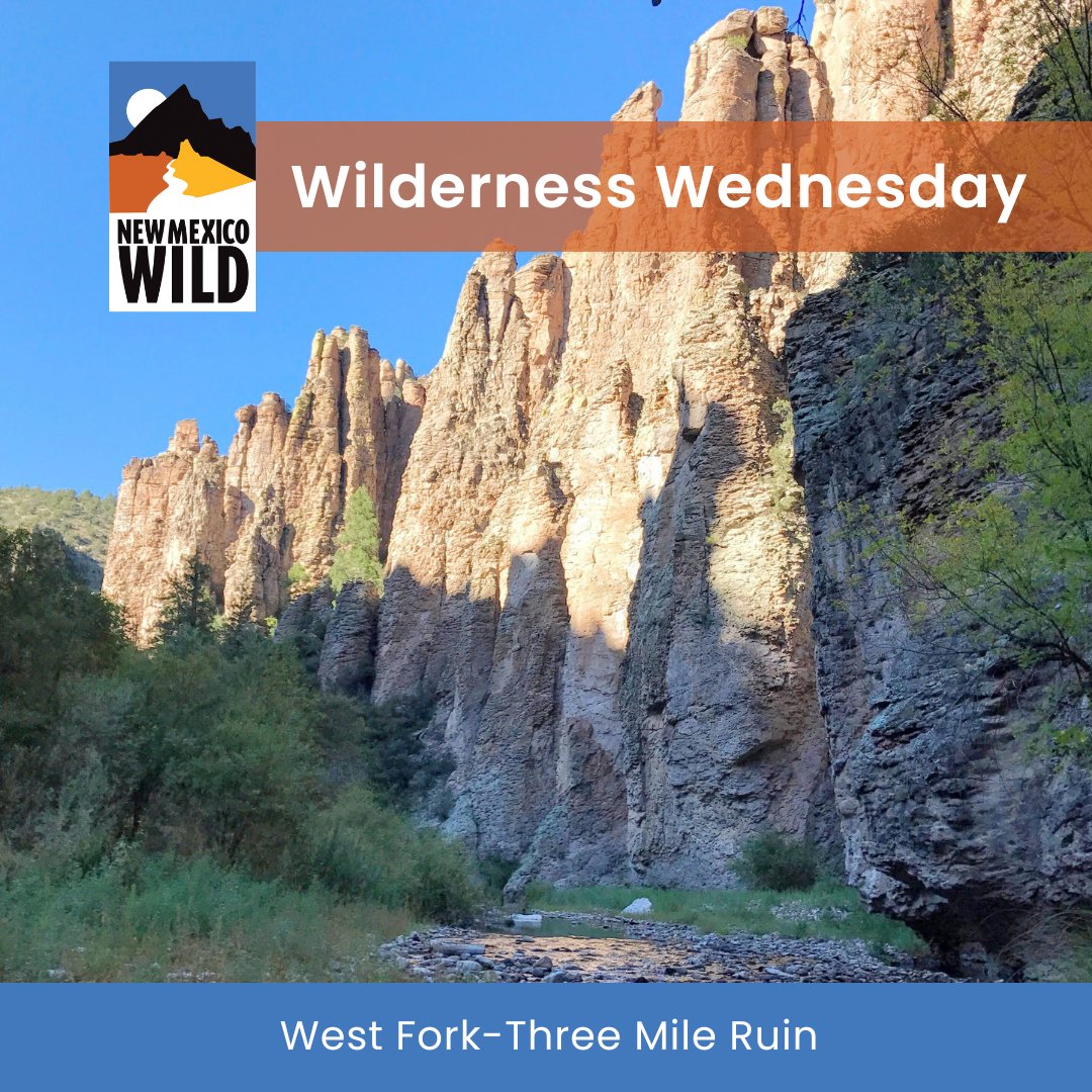 This #WildernessWednesday we're hiking the West Fork Trail No. 151, stretching over 34 miles through wetlands and open woods in the #GilaWilderness. Find more info at hike.nmwild.org and remember to #LeaveNoTrace on all your hikes!