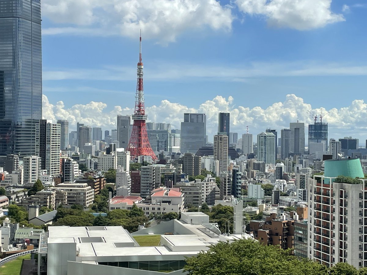 What a what beautiful view of Tokyo #Japan #Tokyo. A fascinating country