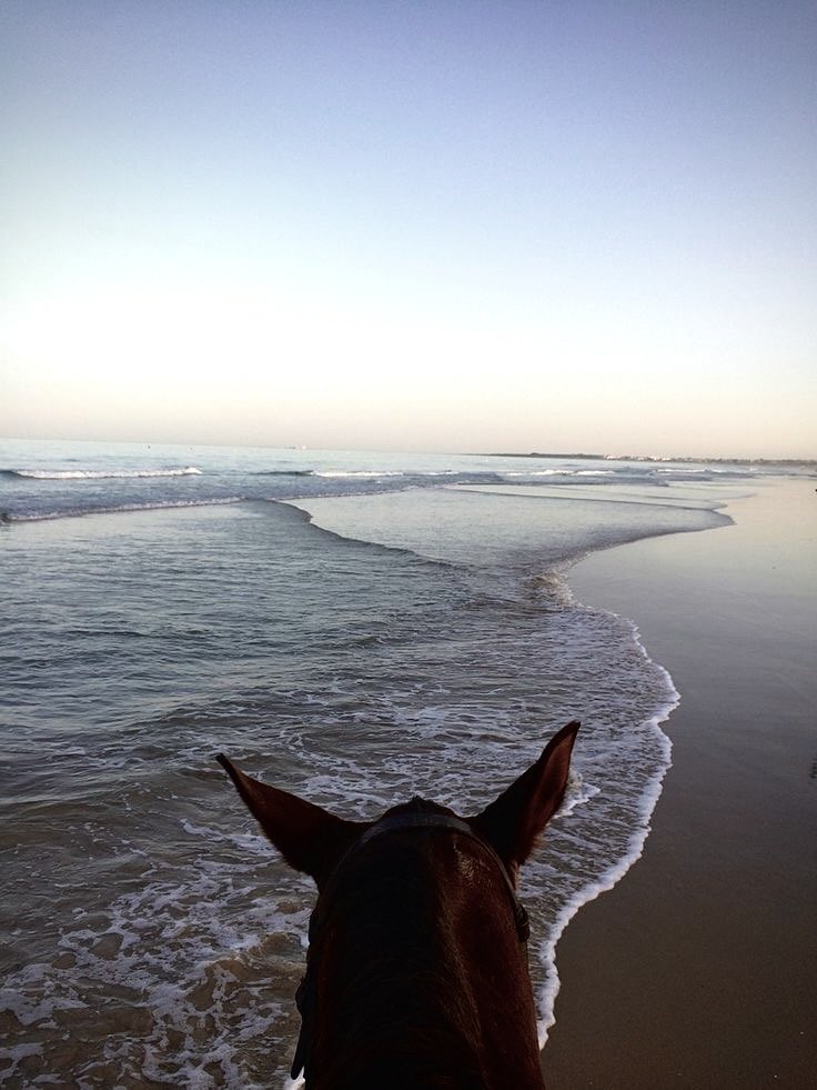 PoemOfTheStars's tweet photo. #WeareDamned โ the sunrise is going to look beautiful on this gorgeous beach. https://t.co/DwG5odssKm