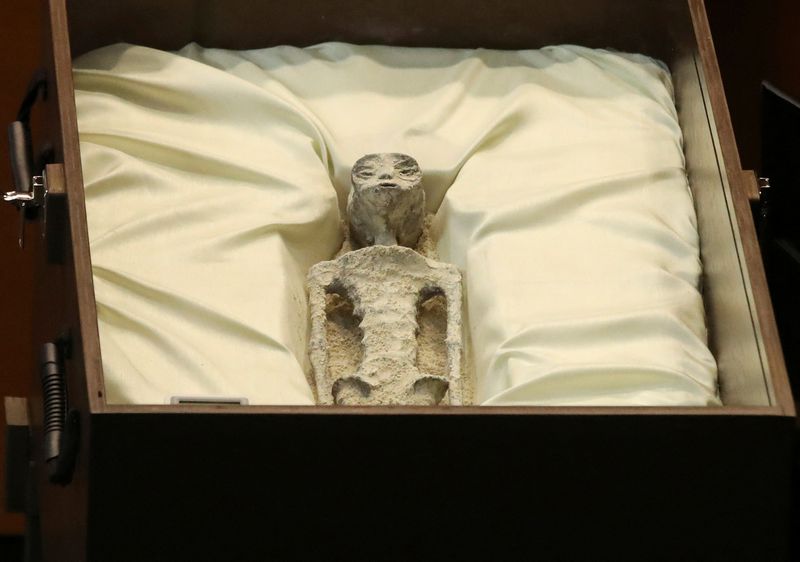 【地球外生命体】「宇宙人の遺体」、メキシコ議会で公開 UFO巡り公聴会
news.livedoor.com/article/detail…

ケースに入れられた2つの小さな「遺体」は両手に3本の指があり、細長い頭部を持つ。約1000年前のものとされ、2017年にペルーのナスカの地上絵付近で発見されたという。