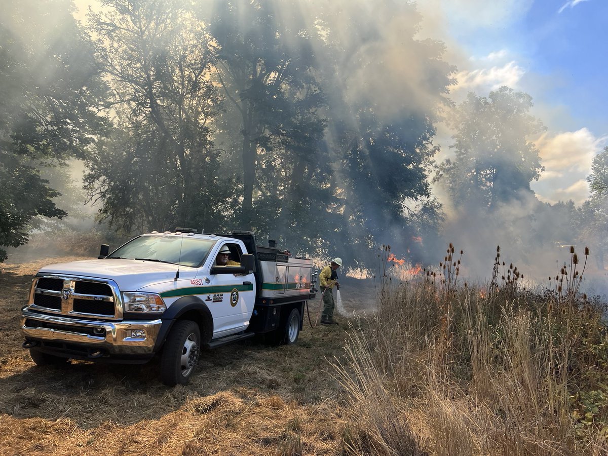 Prescribed fire season is underway in the Willamette Valley! #GoodFire

The main purpose of these burns is restoring white oak savannas, which are one of the most endangered ecosystems in the West, with only 2% remaining.