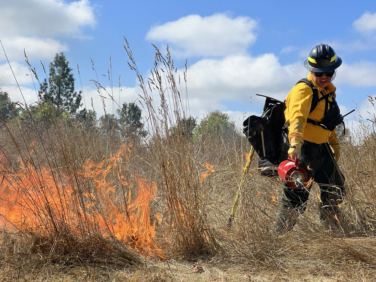 cxadlam's tweet photo. Prescribed fire season is underway in the Willamette Valley! #GoodFire

The main purpose of these burns is restoring white oak savannas, which are one of the most endangered ecosystems in the West, with only 2% remaining. https://t.co/1CAKwnuXwq