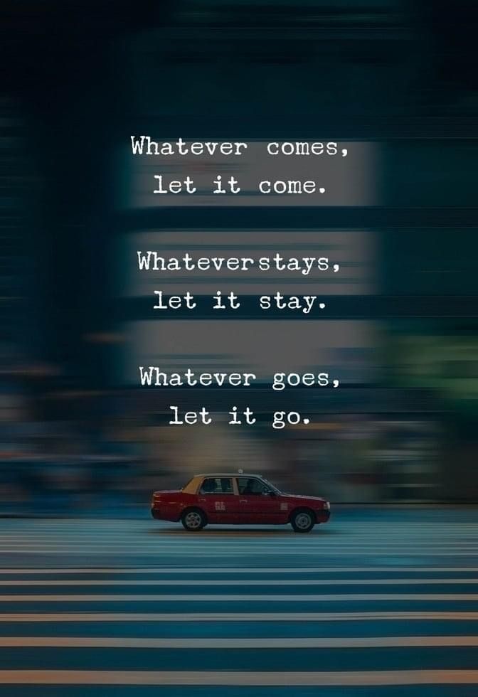 lostinquotes0 tweet picture