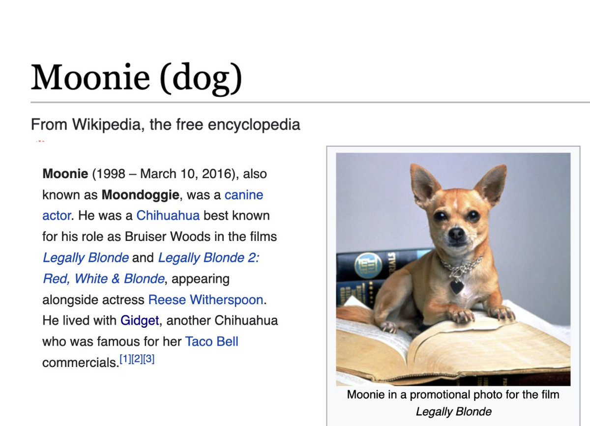 depthsofwiki's tweet image. and they (Bruiser from Legally Blonde and Gidget from the 2000s Taco Bell ads) were ROOMMATES