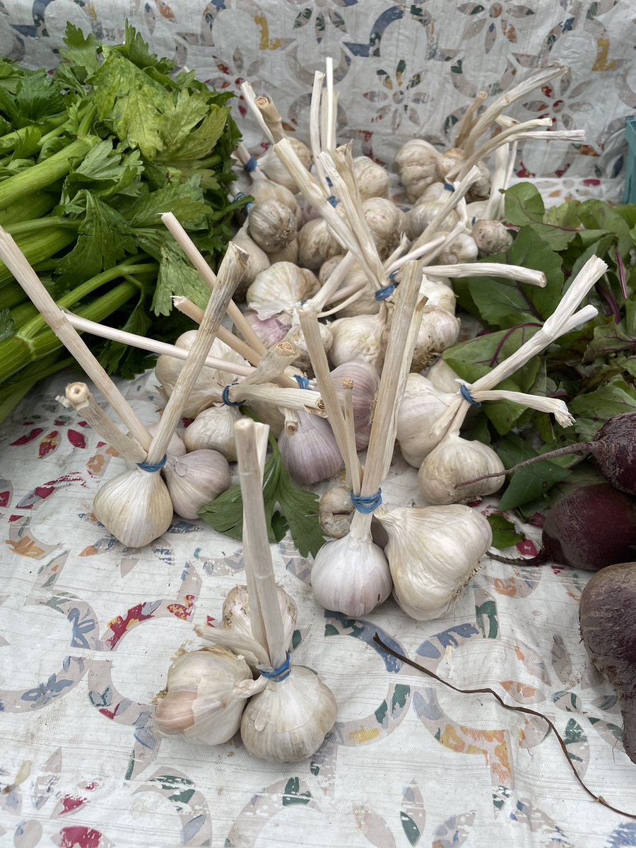 Produce is better straight from the farmer, music is better live, beer tastes better outside: win-win-win! THREE more chances to be part of this terrific trifecta at Thursdays on the Plaza~All we need is Y O U, 4-7 PM
SE 79th at Stark