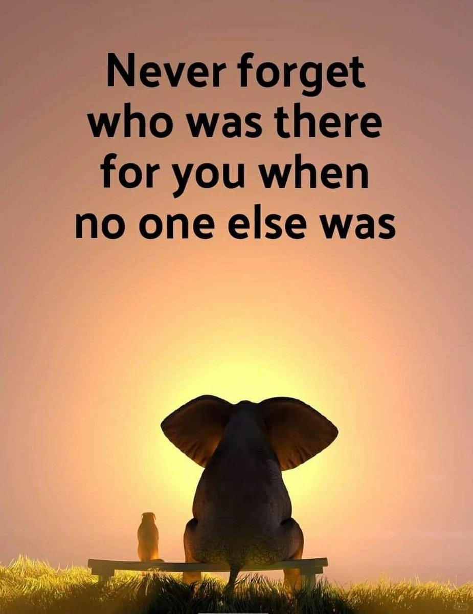 Never forget the person who supported you when others left you.