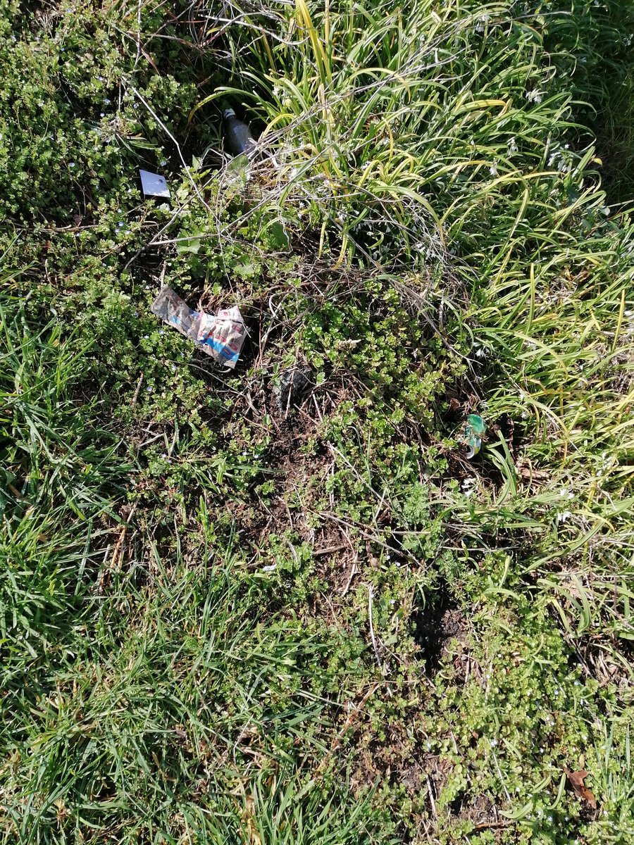QuentinI20548's tweet photo. @AklCouncil  Takanini School Road, Takanini. there is wind borne lose rubbish on the berm. Mowing might get rid of a lot. https://t.co/aSgZsPwnGj