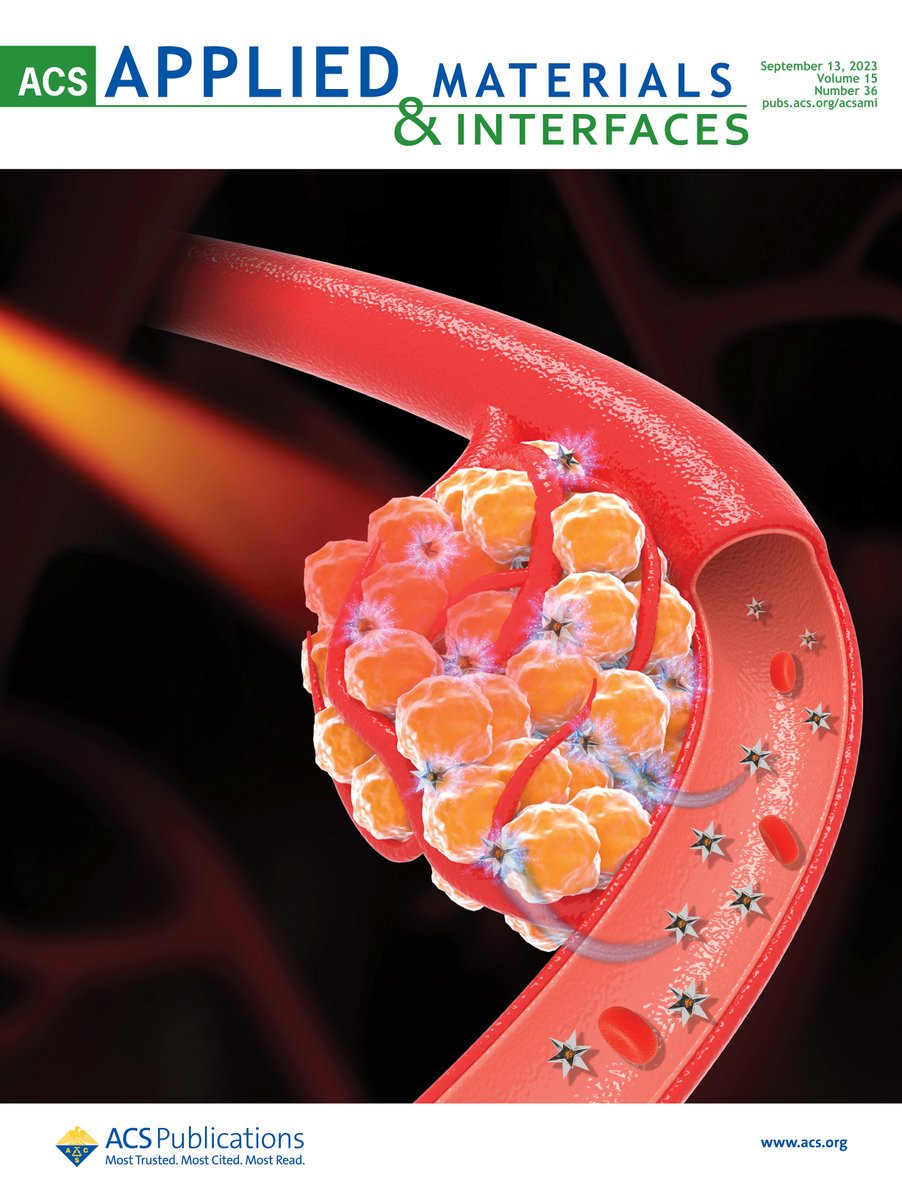 Our work @Griffith_Uni on the cover page of ACS Applied Materials & Interfaces:  We initially developed this novel Spiky Silver–Iron Oxide Nanohybrid for theranostics of thrombosis, then here employed it for theranostics of cancer. pubs.acs.org/doi/10.1021/ac…
@ACS4Authors #MyACSCover