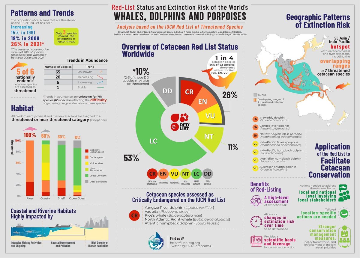 ❗️NEW PAPER: Extinction Risk of the World's Whales, Dolphins and Porpoises led by Dr Gill Braulik, Uni of St Andrews, and our very own Dr P, one of the contributing authors. This paper highlights the URGENCY of conserving cetaceans all around the world. 
doi.org/10.1111/cobi.1…
