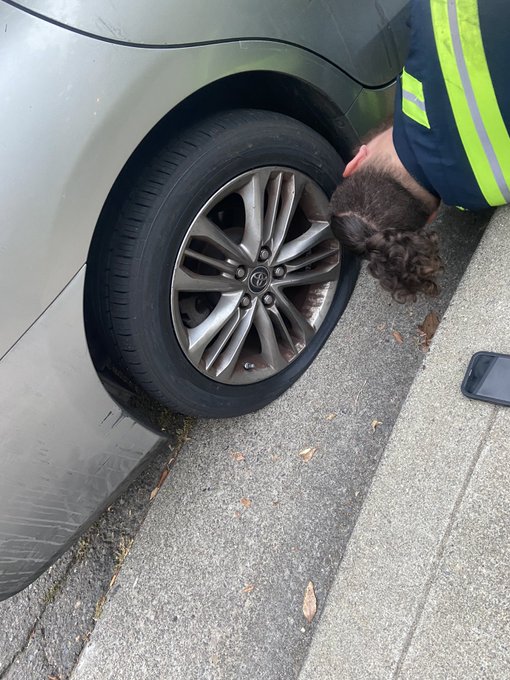 I went to Les Shwab today in woodland&hellip; drove home 15 minutes then another 3 minutes to drop of my son